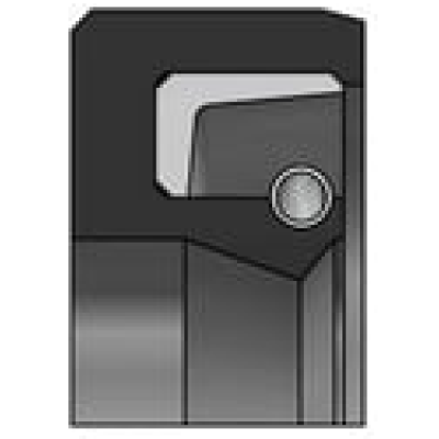 Ротационное уплотнение DR101 / R01